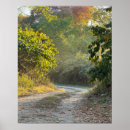 Search for trails posters Path