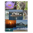 Search for koala photography Kangaroo
