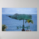 Search for humpback posters Whales