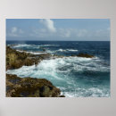 Search for aruba posters Coastline