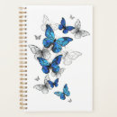 Search for butterflies planners Butterfly