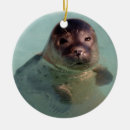 Search for sea lion christmas tree decorations Wildlife