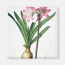 Search for redoute magnets 1759 1840