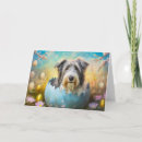 Search for bearded collie cards Happy