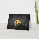 Search for abstract flower cards Photography