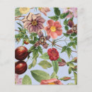 Search for botanical flyers Vintage