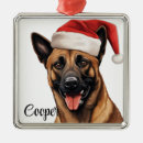 Search for belgian malinois christmas tree decorations Santa