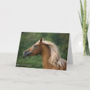 Search for stallion cards Headshot