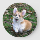 Search for corgi clocks Cute