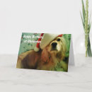 Search for cocker spaniel christmas cards Photography