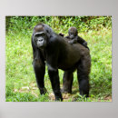 Search for infant posters Wildlife