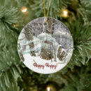 Search for frost christmas tree decorations Cold