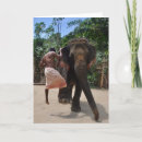 Search for india cards Photography