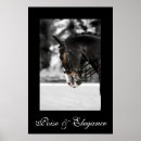 Search for horse eventing posters Dressage