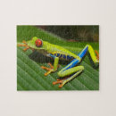 Search for green tree frog puzzles Nature