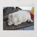 Search for swine postcards Farm