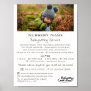 Search for babysitters Customer