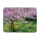 Search for springtime magnets Green