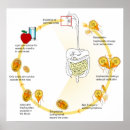 Search for parasite posters Microbiology
