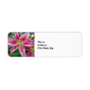 Search for stargazer lily return address labels Lilies