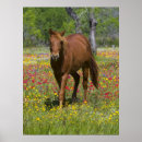 Search for quarter posters Ranch