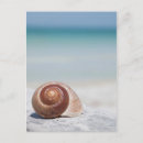 Search for fls postcards Waves