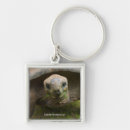 Search for tortoise key rings Marine life