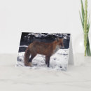Search for stunning cards Wildlife