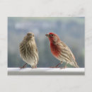 Search for flirting postcards Cute