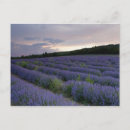 Search for cropland postcards Agriculture