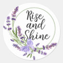 Search for the shining stickers Purple