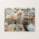 Search for for adults puzzles Tropical