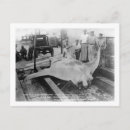 Search for caught postcards Florida