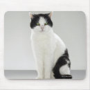 Search for flooring mousepads Vertical