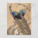 Search for japanese art postcards Beautiful