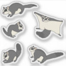 Search for sugar gliders stickers Australian
