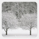 Search for adirondacks stickers Chair