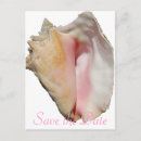 Search for conch shells invitations Couple