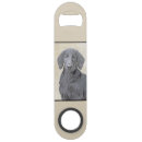 Search for flat coated Dog