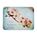 Search for beautiful blossom magnets Floral
