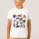 Search for draw clothing For kids