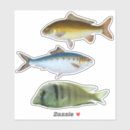 Search for gold scale stickers Under the sea