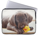 Search for chocolate lab electronics Cute