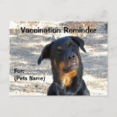 Search for rottweilers postcards Dogs