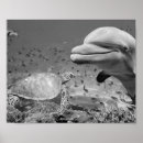 Search for black and white fish art Tropical