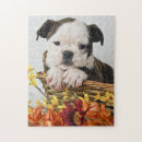 Search for dog picture puzzles Baby