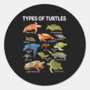 Search for sea turtle stickers Animal
