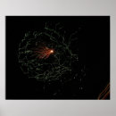 Search for neon glow posters Beautiful