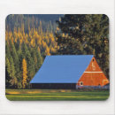 Search for red barn mousepads Nature
