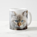 Search for siberian cat mugs Animal